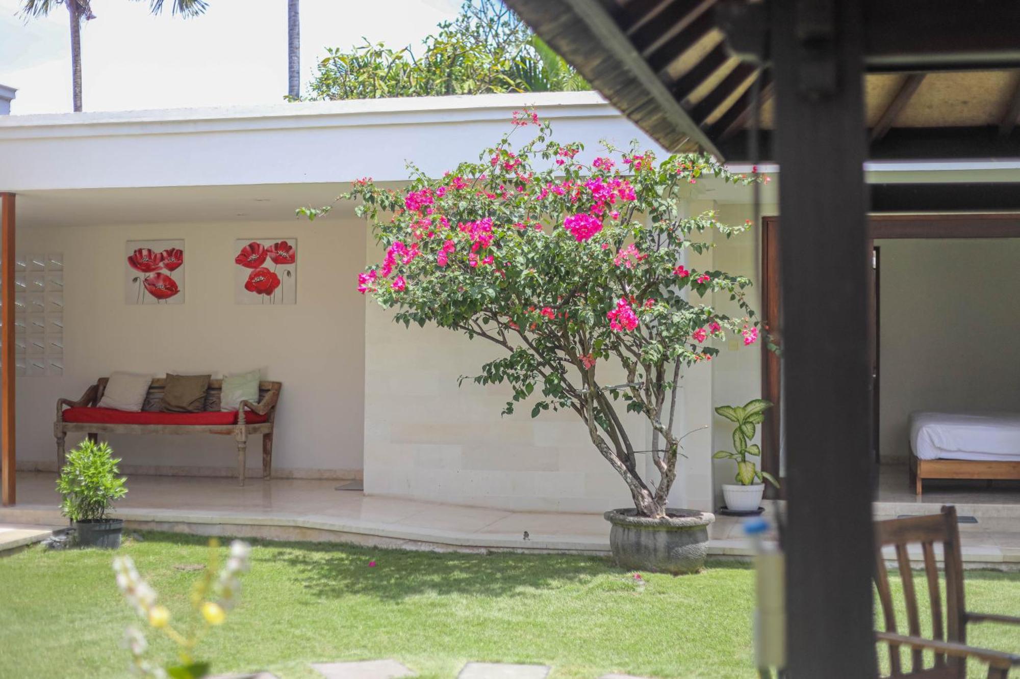 Villa Harmony Canggu المظهر الخارجي الصورة